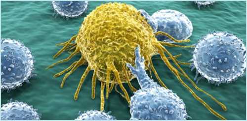 山东威海试管助孕指南：权威医院排名与辅助生殖服务解析