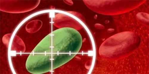 山东临沂人工授精费用详解：助孕家庭的预算与选择指南